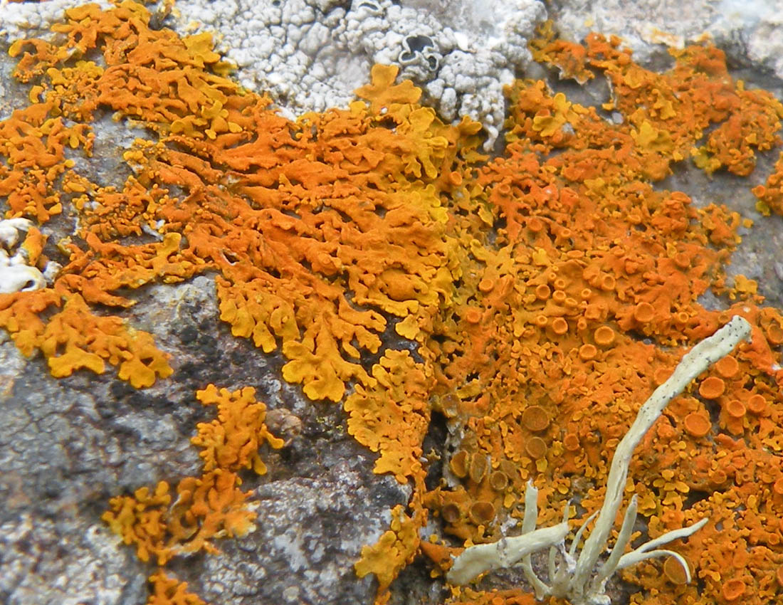 Sugli scogli del Galles